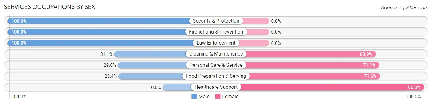 Services Occupations by Sex in Boone County
