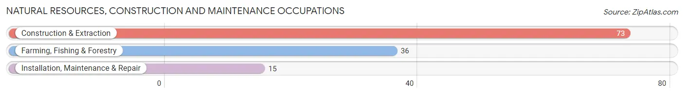 Natural Resources, Construction and Maintenance Occupations in Boyd County