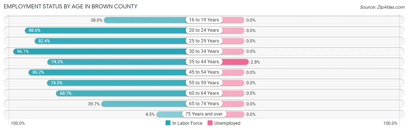 Employment Status by Age in Brown County