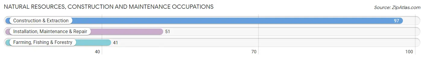 Natural Resources, Construction and Maintenance Occupations in Brown County