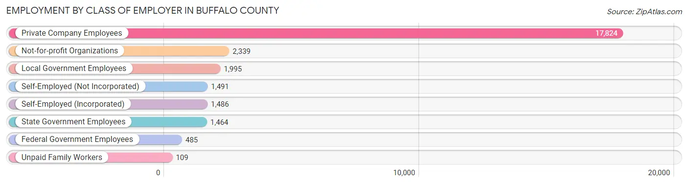 Employment by Class of Employer in Buffalo County