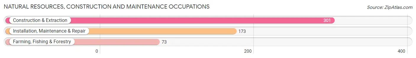 Natural Resources, Construction and Maintenance Occupations in Burt County