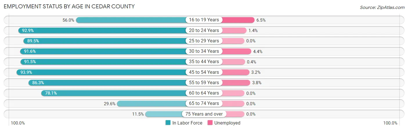 Employment Status by Age in Cedar County