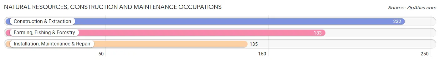 Natural Resources, Construction and Maintenance Occupations in Cedar County