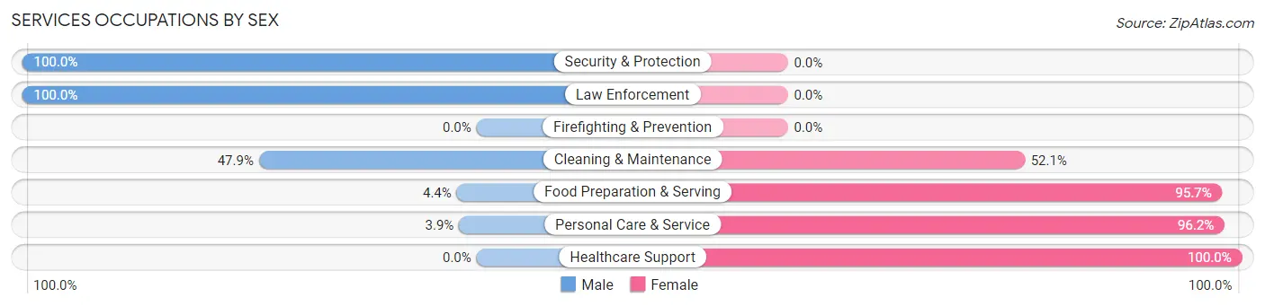 Services Occupations by Sex in Chase County
