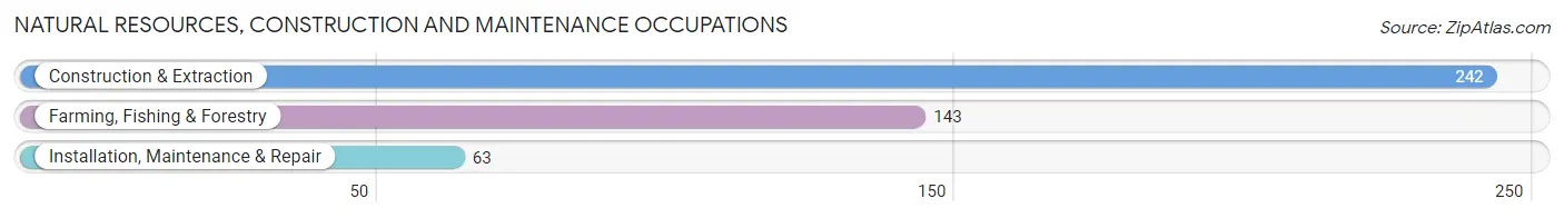 Natural Resources, Construction and Maintenance Occupations in Cherry County