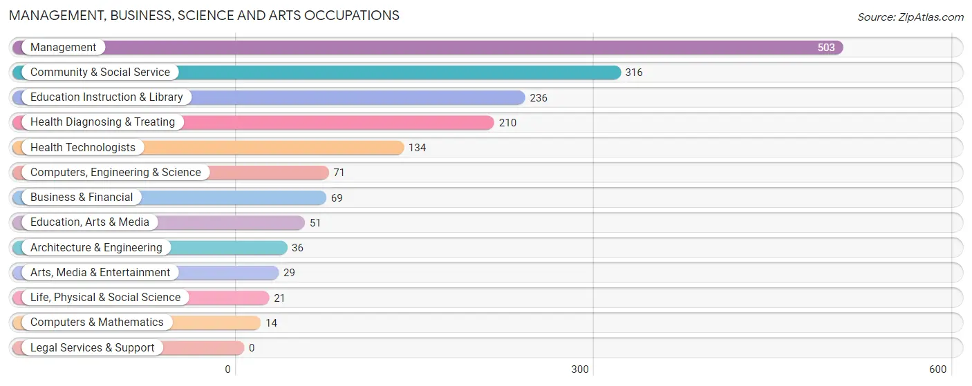 Management, Business, Science and Arts Occupations in Clay County