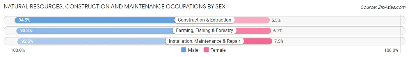 Natural Resources, Construction and Maintenance Occupations by Sex in Custer County
