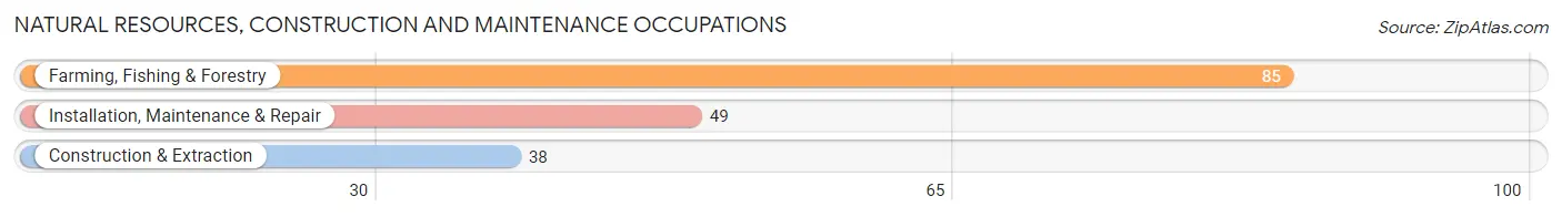 Natural Resources, Construction and Maintenance Occupations in Deuel County