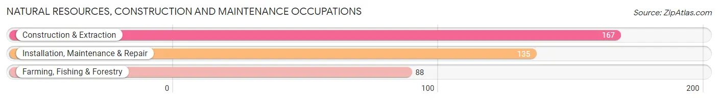 Natural Resources, Construction and Maintenance Occupations in Dixon County