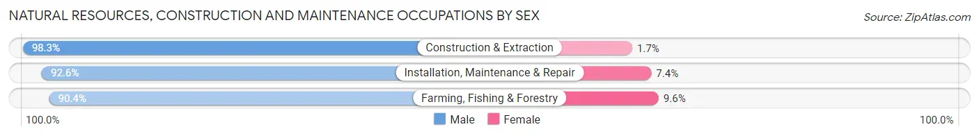 Natural Resources, Construction and Maintenance Occupations by Sex in Dodge County