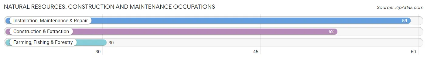 Natural Resources, Construction and Maintenance Occupations in Dundy County