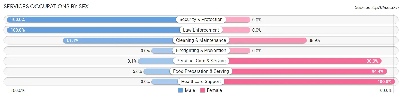 Services Occupations by Sex in Dundy County