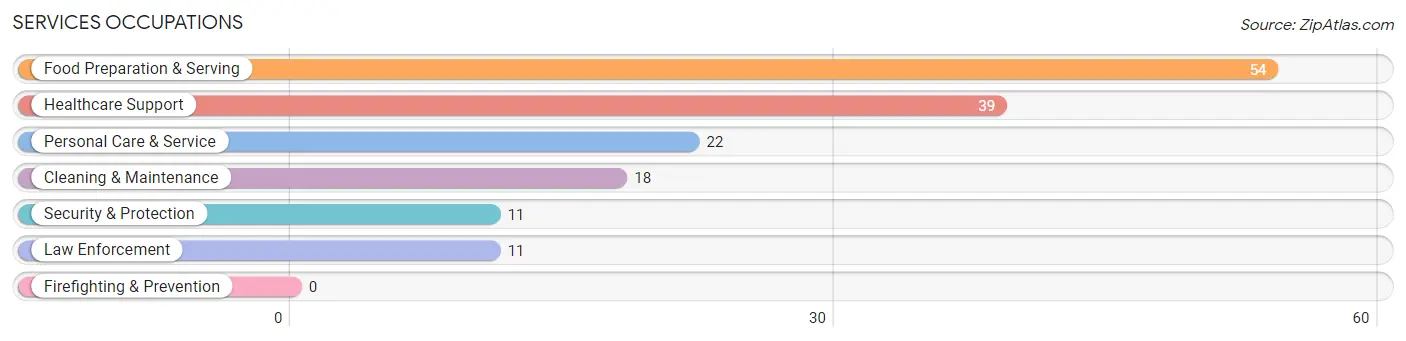 Services Occupations in Dundy County