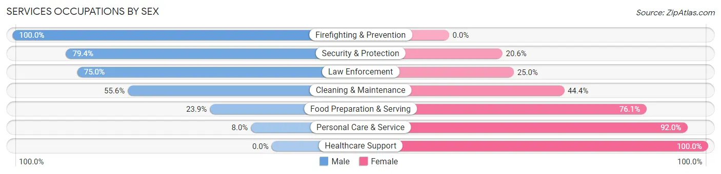 Services Occupations by Sex in Fillmore County