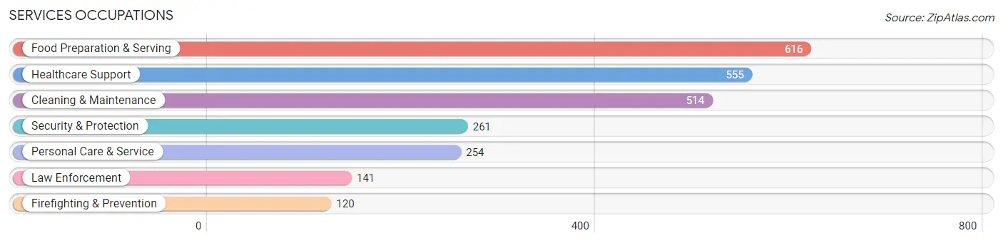 Services Occupations in Gage County