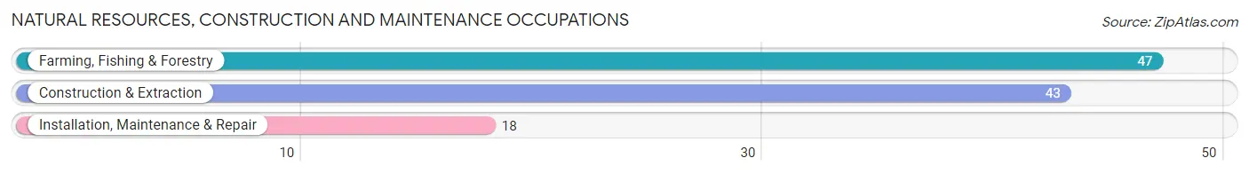 Natural Resources, Construction and Maintenance Occupations in Garden County