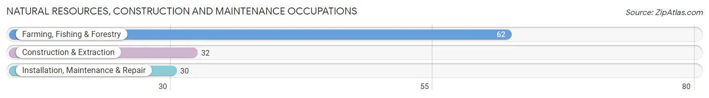 Natural Resources, Construction and Maintenance Occupations in Gosper County
