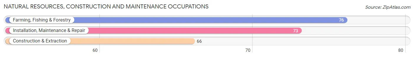 Natural Resources, Construction and Maintenance Occupations in Greeley County