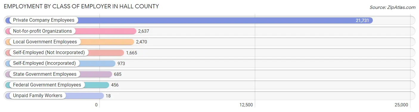 Employment by Class of Employer in Hall County