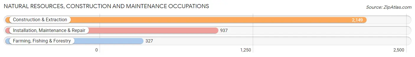 Natural Resources, Construction and Maintenance Occupations in Hall County