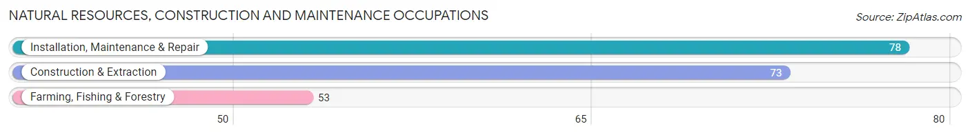 Natural Resources, Construction and Maintenance Occupations in Harlan County