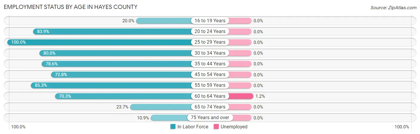 Employment Status by Age in Hayes County