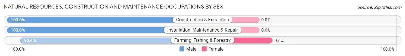 Natural Resources, Construction and Maintenance Occupations by Sex in Hayes County