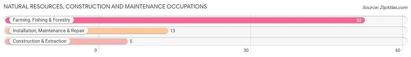 Natural Resources, Construction and Maintenance Occupations in Hayes County