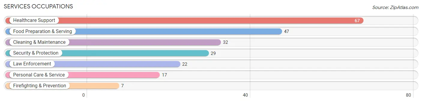 Services Occupations in Hitchcock County