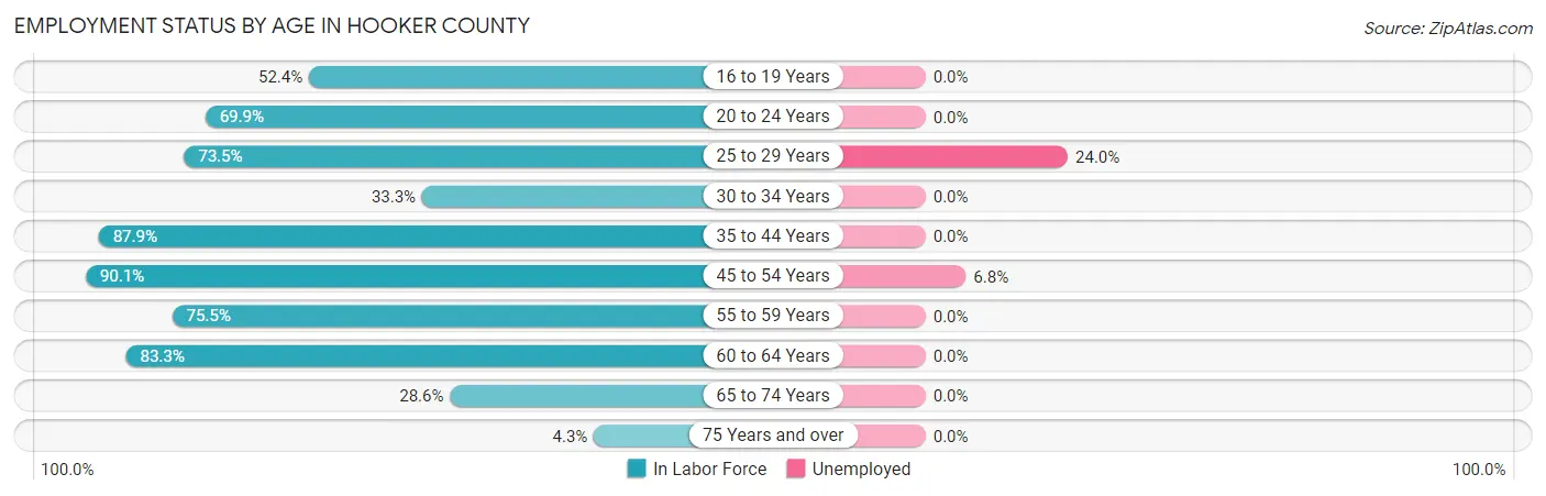 Employment Status by Age in Hooker County