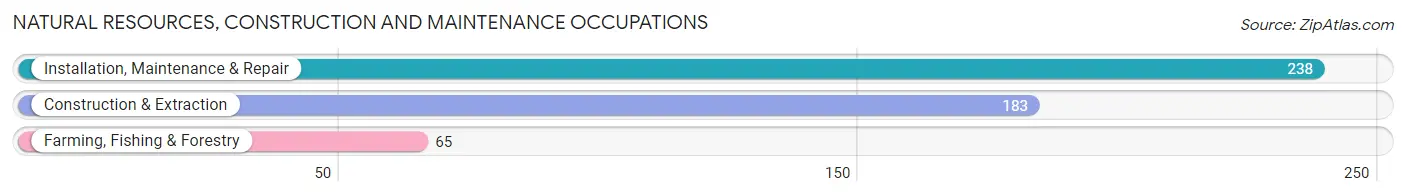 Natural Resources, Construction and Maintenance Occupations in Howard County