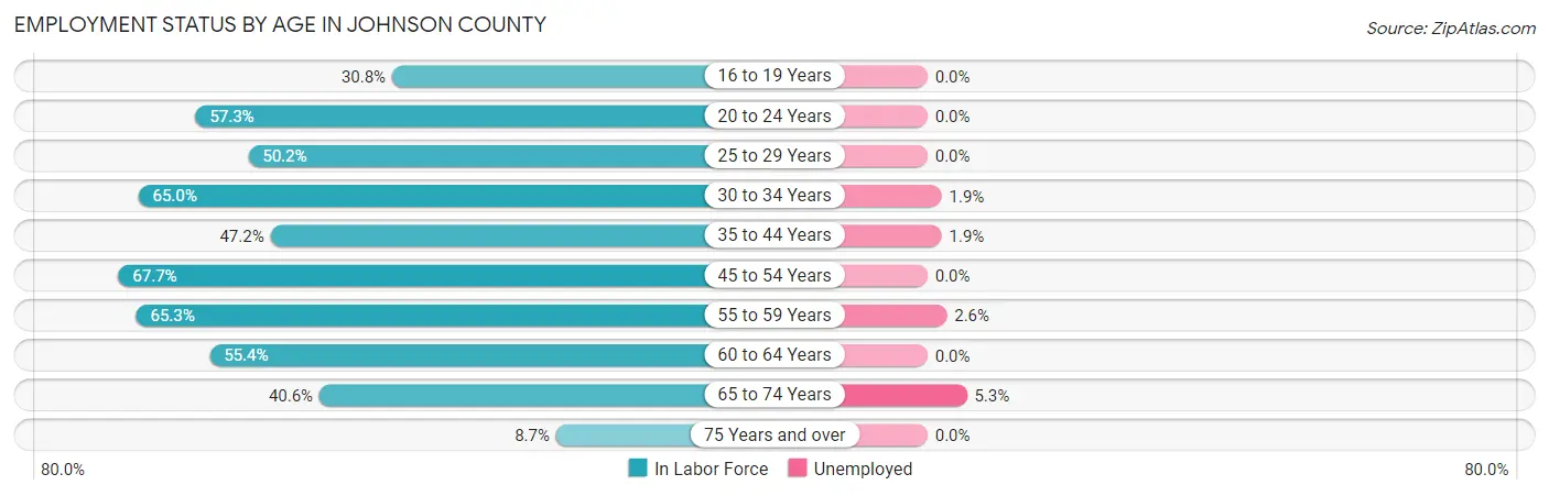 Employment Status by Age in Johnson County