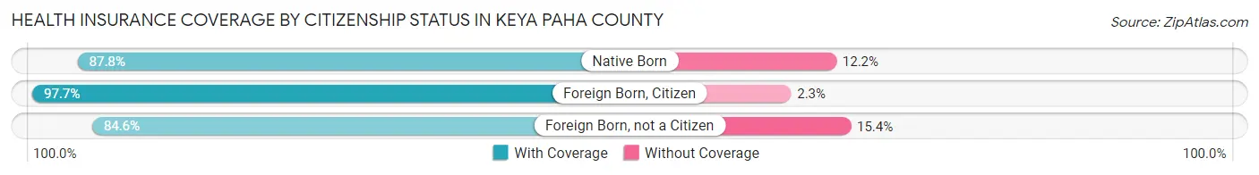 Health Insurance Coverage by Citizenship Status in Keya Paha County