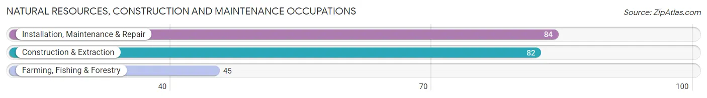 Natural Resources, Construction and Maintenance Occupations in Kimball County