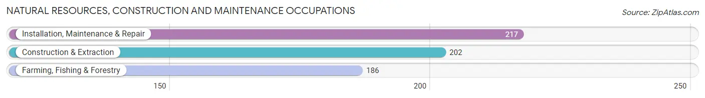 Natural Resources, Construction and Maintenance Occupations in Knox County