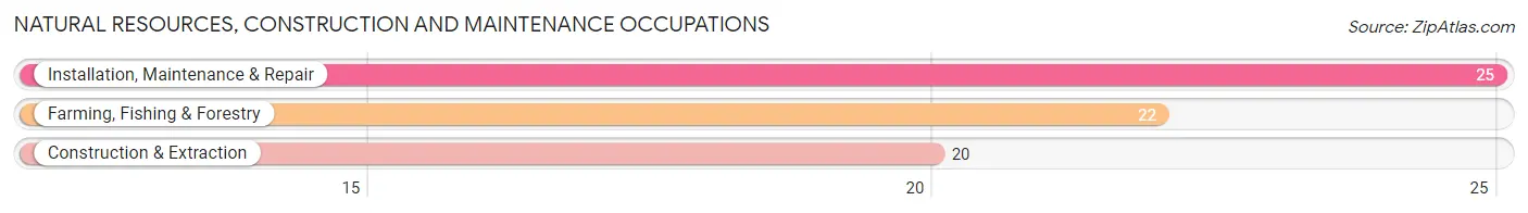 Natural Resources, Construction and Maintenance Occupations in Logan County