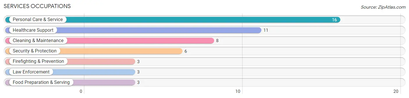 Services Occupations in Logan County