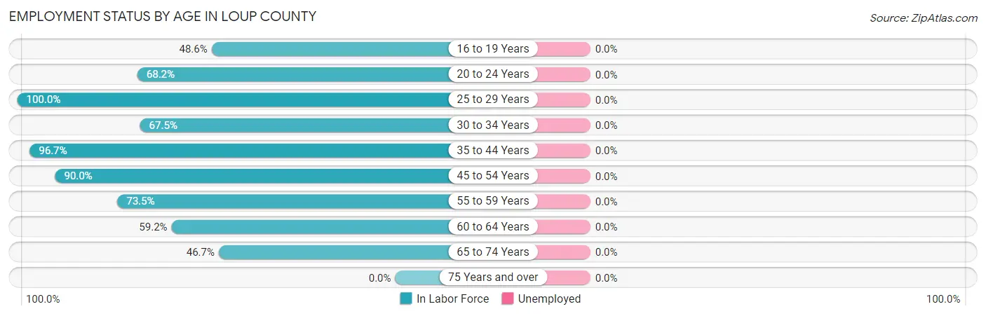 Employment Status by Age in Loup County