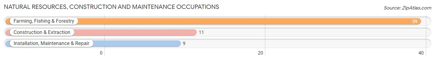 Natural Resources, Construction and Maintenance Occupations in Loup County