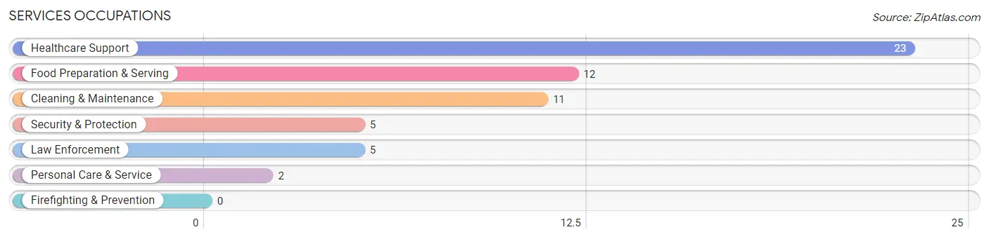 Services Occupations in Loup County