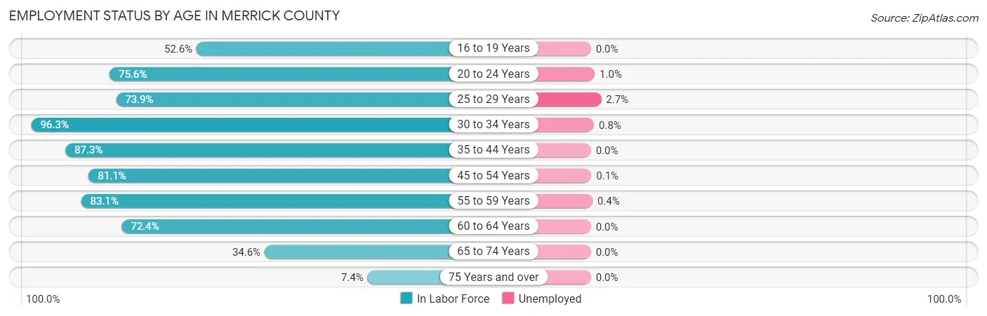 Employment Status by Age in Merrick County