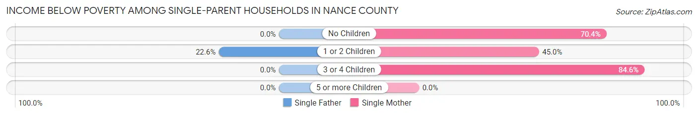 Income Below Poverty Among Single-Parent Households in Nance County