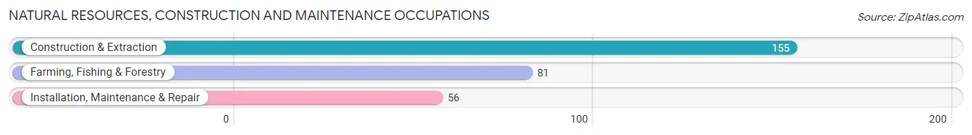 Natural Resources, Construction and Maintenance Occupations in Nance County