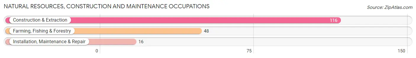 Natural Resources, Construction and Maintenance Occupations in Pawnee County