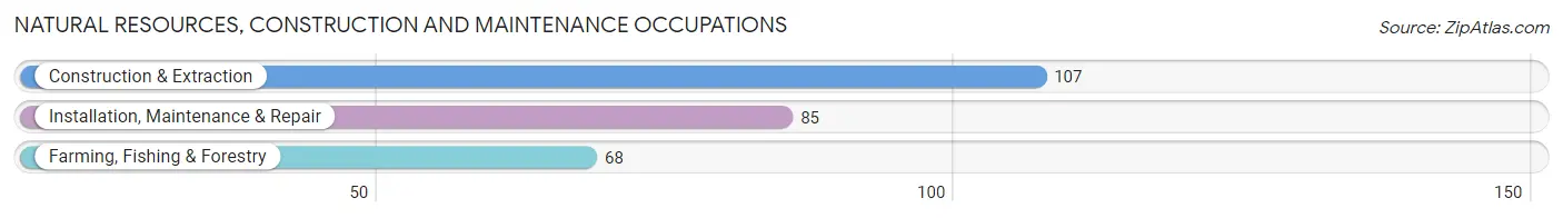 Natural Resources, Construction and Maintenance Occupations in Perkins County
