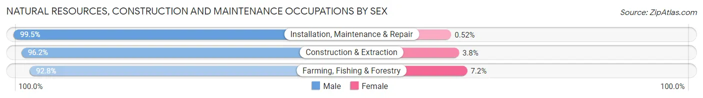 Natural Resources, Construction and Maintenance Occupations by Sex in Phelps County