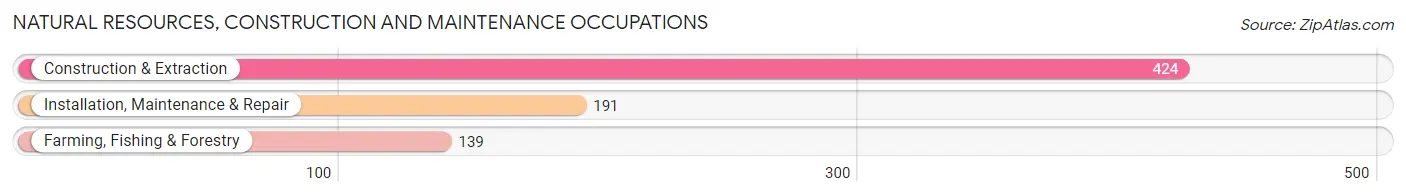 Natural Resources, Construction and Maintenance Occupations in Phelps County