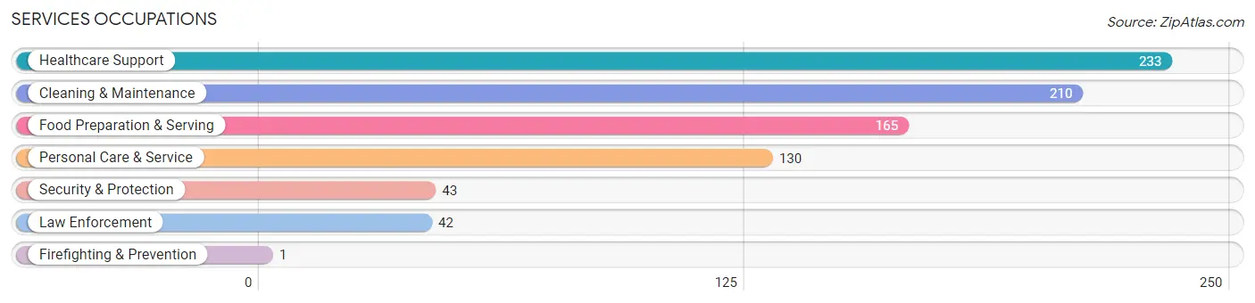 Services Occupations in Phelps County