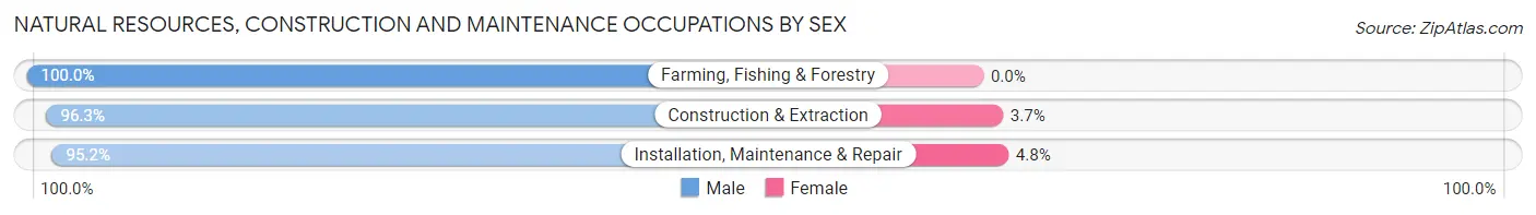 Natural Resources, Construction and Maintenance Occupations by Sex in Pierce County